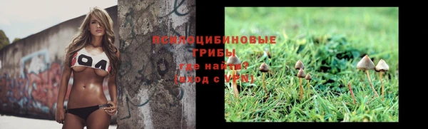 ПСИЛОЦИБИНОВЫЕ ГРИБЫ Ельня