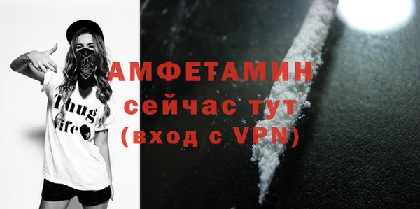 ПСИЛОЦИБИНОВЫЕ ГРИБЫ Ельня