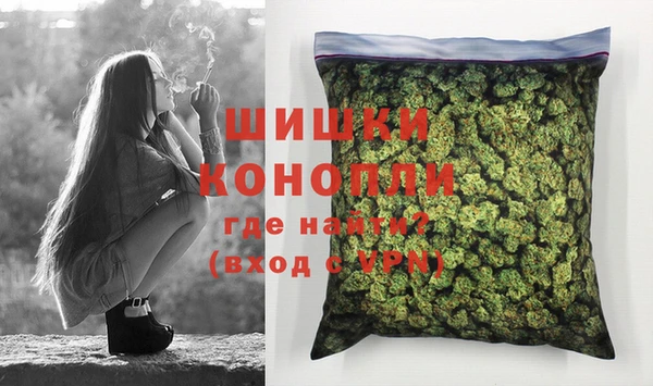 ПСИЛОЦИБИНОВЫЕ ГРИБЫ Ельня