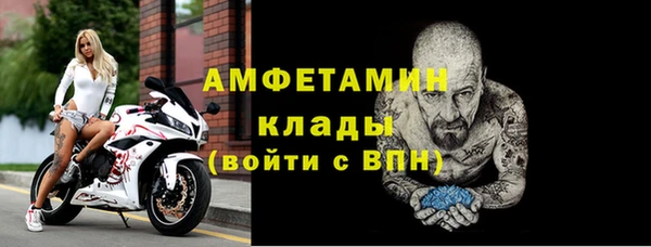 ПСИЛОЦИБИНОВЫЕ ГРИБЫ Ельня