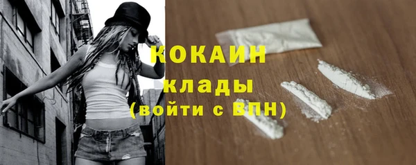 ПСИЛОЦИБИНОВЫЕ ГРИБЫ Ельня