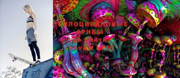 ПСИЛОЦИБИНОВЫЕ ГРИБЫ Ельня
