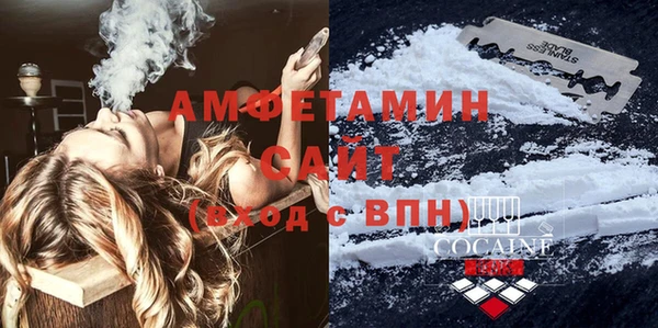 ПСИЛОЦИБИНОВЫЕ ГРИБЫ Ельня