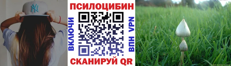 hydra ссылки  Глазов  Галлюциногенные грибы MAGIC MUSHROOMS 