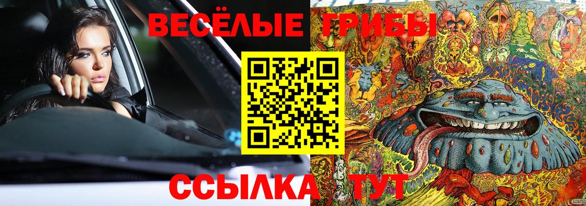 Галлюциногенные грибы мицелий  Вход с VPN  Глазов 